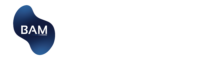 Boston Asset Manager